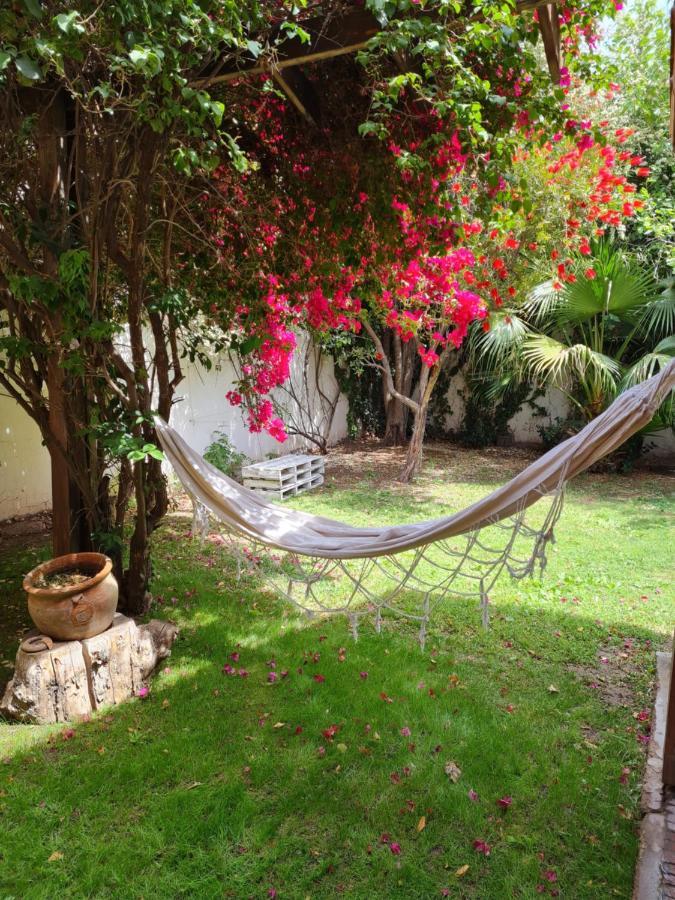 Veinticinco Casa De Huespedes Villa Mendoza Dış mekan fotoğraf